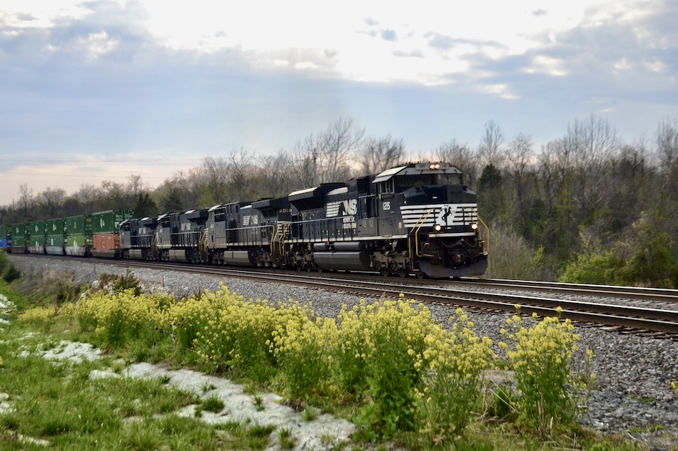 train passing some wildflowers